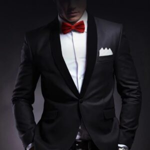 Men's Solid Color Formal Wear Wedding Business Casual Groom Groomsman Bow Tie