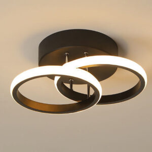 Modern LED Ceiling Light Double Round Pendant Lamp Bedroom Lights Ceiling